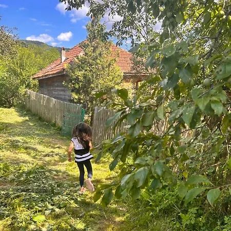 Holiday home Casuta Dede Buzau