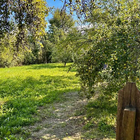 Casuta Dede Holiday home Buzau