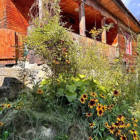 Casuta Dede Holiday home Buzau