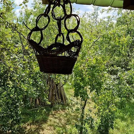 Casuta Dede Holiday home Buzau
