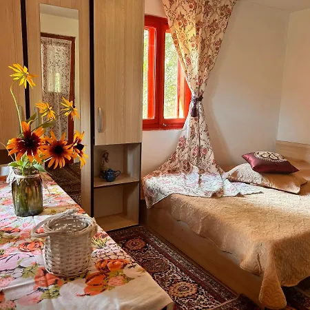 Holiday home Casuta Dede