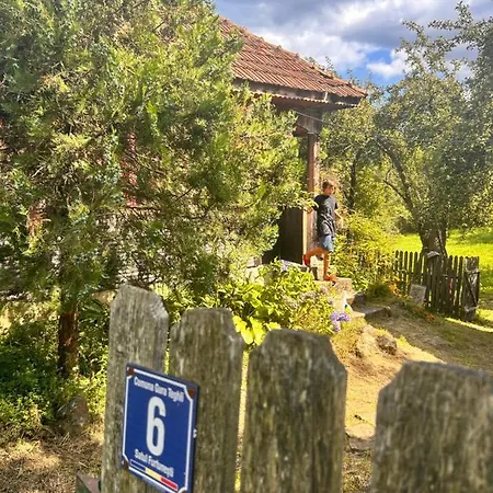 Casuta Dede Holiday home